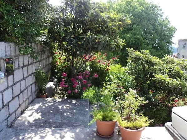 Deranja * Ντουμπρόβνικ